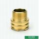CW617N Material Customized Designs Male Brass Inserts Lighter Weight For Ppr Fittings