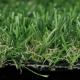 4 Colors Garden Plastic Grass 25mm Pile 18900 Tufts Every Square Meter