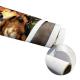 Waterproof Premium Matte Art Self Adhesive Polyester Canvas Fabric Roll