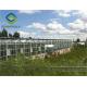 Span 9m Commercial Glass Greenhouse Hot Digged Galvanized Steel