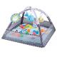 4-in-1 Baby Play Gym, Activity Gym Ball Pit with Sensory Toys for Newborn Infant Toddler to Develop Motor&Cognition