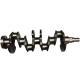 Diesel Cast Iron Crankshaft 481H-1005011 Crankshaft for Chery Eastar/Tiggo