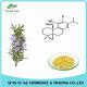 Rosemary Leaf Extract Carnosic Acid / Rosmarinic Acid Powder