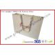 Branded Custom Paper Gift Bags With Ribbon Handles , Embossing Logo Paper Hand Bags