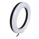 Usb Ring Light LED Selfie Ring Light With Cell Phone Holder Portable For Advertisement Photograph
