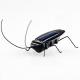 Simulated Solar Powered Cockroach Christmas Toys For Children Education
