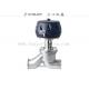 High Performance SS316L Globe  Valve With Clamped / Automatic Control System