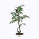 Bright Spot Artificial Maple Bonsai Tree , Artificial Plants Bonsai Fill Any Space