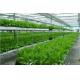 Large Size Commercial Hydroponic Greenhouse With Thickness 0.12-0.2mm Film Covered