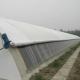 Steel Structure/Wall Humidity-Controlled Sunlight Greenhouse for Vegetable Farming