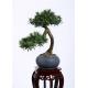 High Density  Faux Pine Tree Longlife 65cm No Maintenance Required Good Touching