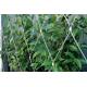 Flexible Inox Wire Rope Plant Trellis , Plant Climbing Green Wall Mesh