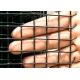 15m 30m bird Pvc Coated Galvanized Wire Mesh Corrosion Resistance