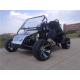 8L Oil tank 200CC Go Kart With 2 Seats Automatic Transmission