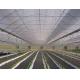 Water Saving Commercial Hydroponic Greenhouse Easy Manage Without Regional Restrictions