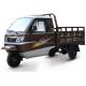 Beiyi Dayang 151 200cc CN CHO 3500*1400*1600mm Open Trike Cargo Motorized for Market