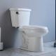 17 20 19 Inch Ada Comfort Height Toilet And Bidet Cistern For Small Space