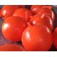red and orange color floating PE plastic hollow balls for warning usage