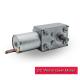 Brushless DC Worm Gear Motor Low Noise 12 Volt Worm Gear Motor RoHS Approved