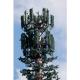 30m Monopole Camouflaged Cell Towers 120km/Hr Galvanized Steel Q235B Trunk