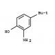 2 Amino 4 Tert Butylphenol Dye Intermediates With CAS No. 1199 46 8