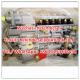 Genuine and New diesel pump 612601080376 genuine weichai high pressure injection pump