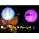 Color Changing LED Inflatable Light Balloon With DMX512