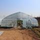 Agriculture Farming Growing Tunnel Plastic Film Greenhouse For Pepper Growing