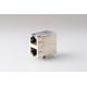 RJ45 Connector Jack RJ 2P Filter With LED And Shield RMA-065BC-20F6-YG