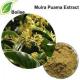 Penile Hardness Increasing Muira Puama Extract Yellow Powder