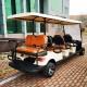 Customizable Color 6-Seater New Energy Golf Cart Buggy Lithium Lead Acid Battery Option For Hotel Club Factory farm
