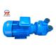 Close Coupled Design Gear Oil Transfer Pump Liquid Ring Type For Plastic Machine