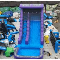 0.55mm PVC Durable Inflatable Water Slides Outdoor Hand Drawing