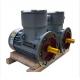 Industry Application Asynchronous Three Phase Flame Proof Electric Motor