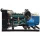 250kW 312.5kVA Biogas CNG Generator Set with Water Cooling and Russian Control System