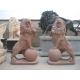 Marble Walking Lion Statue Oem Stone Carving Sculpture Outdoor