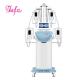 Professional stationary 360 Cool system Cryolipolysis Weight Loss Cryo Double Chin Removal Machine LF-245B