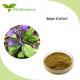 100% Natural Plant Herbal Extract 2% Ajuga Turkesterone Extract