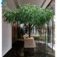Indoor Decoration Artificial Willow Tree , Fake Weeping Willow Good Fluttering Effect