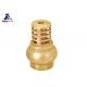 ISO228 Brass Swing Check Valve NPT Swing Foot Valve Natural Color