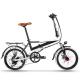 Lightweight Foldable Electric Bike For Seniors Adults 48v 250w 20 RICHBIT 700