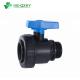 Customizable Single Union Valve for Popular Male and Female Plastic Ideal Choice