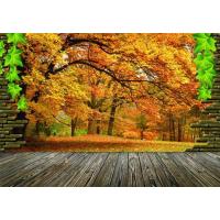 3D Printable Wallpaper Roll Glossy / Textured Surface 0.61-1.52m Width