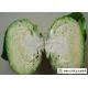 Oval Shape Green Pointed Head Cabbage Lower Blood Pressure 1 - 3 KG / PER