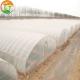 Easily Installed Tunnel Greenhouse with Height Designable by Inner Plants 40GP Details