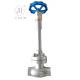 DN15 Stainless Steel PN50 Cryogenic Globe Valve For Tank / Skid / Container