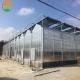 Economical European Polycarbonate Greenhouse with Roof and Side Ventilation Panels