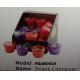 FBAB0024 mini plain color PP plastic snack storage box for peanut jam