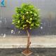 1.2m Height Artificial Lemon Tree , Fake Fruit Tree Anti Ultra Violet