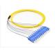 Yello Color Optic Fiber Patch Cable Patch Cords SC 12 Cores Bundle Pigtail